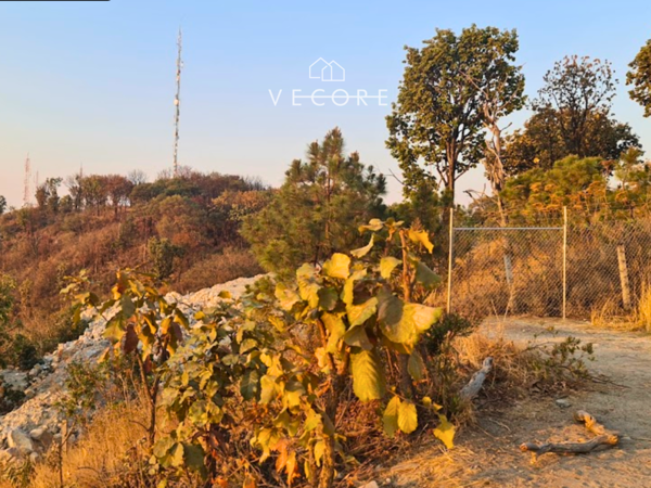 Terreno en venta en Fraccionamiento Bugambilias, Zapopan — foto 2 de 5