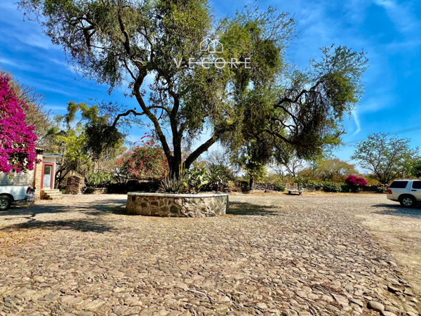 Terreno en venta en Tonala Centro, Tonalá — foto 2 de 20