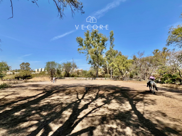 Terreno en venta en Tonala Centro, Tonalá — foto 3 de 20