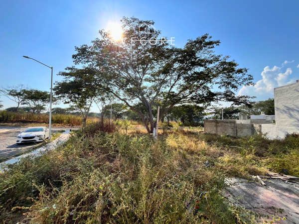 Terreno en venta en Real de Comala, Comala — foto 3 de 26