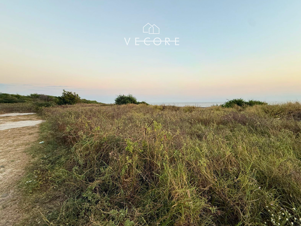 Terreno en venta en Villa Florida, Manzanillo — foto 3 de 9