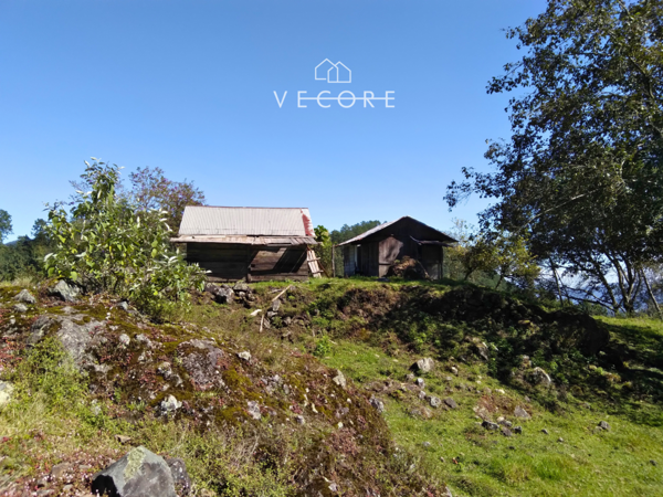 Terreno en venta en Villa Tenango de Doria Centro, Tenango de Doria — foto 3 de 20