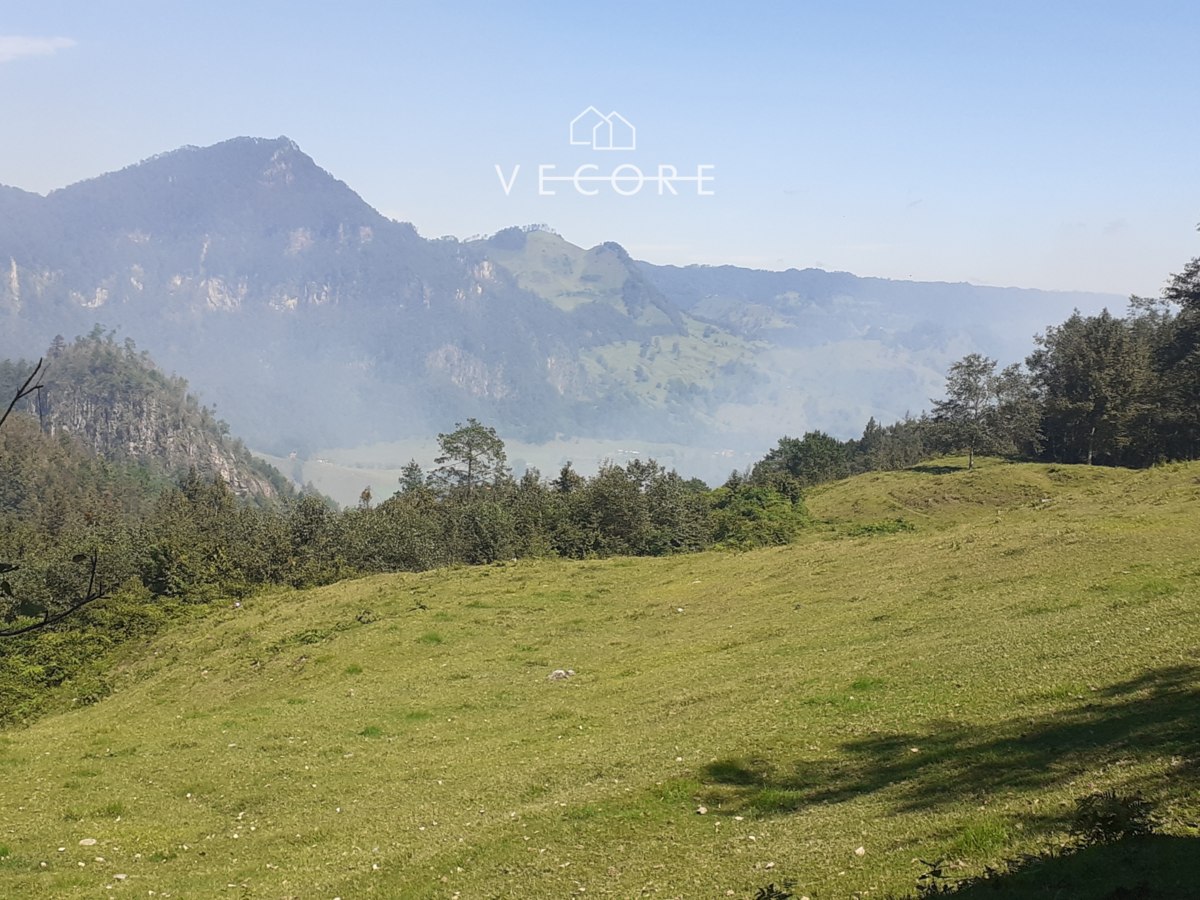 Terreno en venta en Villa Tenango de Doria Centro, Tenango de Doria — foto 1 de 20