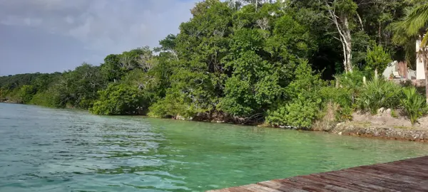 Terreno en venta en Buenavista, Bacalar — foto 2 de 13
