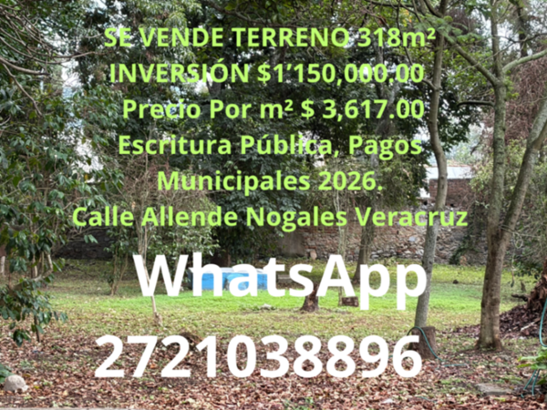 Terreno en venta en Nogales Centro, Nogales — foto 2 de 12