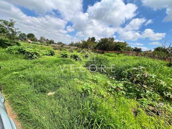Terreno en venta en San Martin de las Flores de Arriba, San Pedro Tlaquepaque — foto 2 de 8