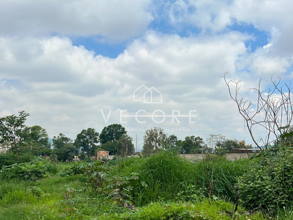 Terreno en venta en San Martin de las Flores de Arriba, San Pedro Tlaquepaque — foto 3 de 8
