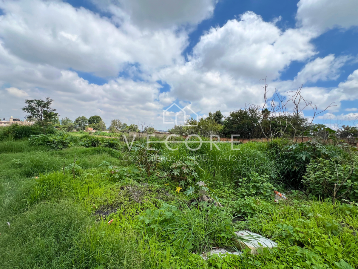 Terreno en venta en San Martin de las Flores de Arriba, San Pedro Tlaquepaque — foto 1 de 8