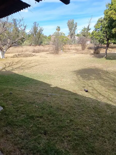 Terreno en venta en Colonia Fraccionamiento el Puente, Celaya — foto 3 de 4