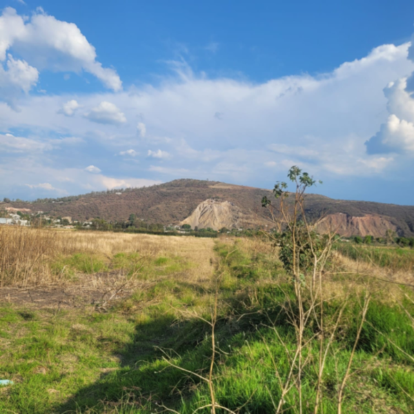 Terreno en venta en Uruétaro, Tarímbaro — foto 3 de 4