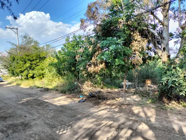 Terreno en venta en El Copetillo, El Llano — foto 2 de 13