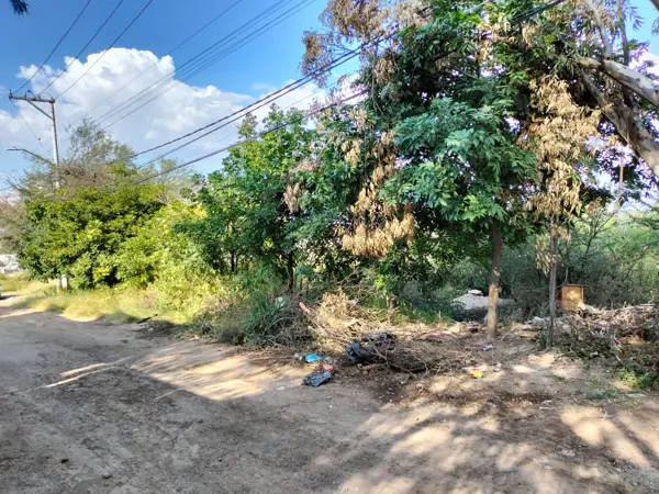 Terreno en venta en El Copetillo, El Llano — foto 3 de 13