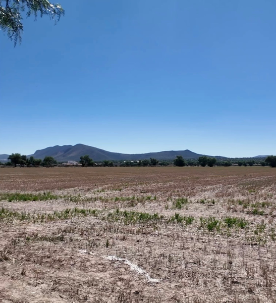 Terreno en venta en Ex-hacienda San Antonio Tochatlaco, Zempoala — foto 2 de 4