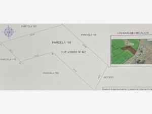 Terreno en venta en La Concha, Torreón — foto 2 de 2