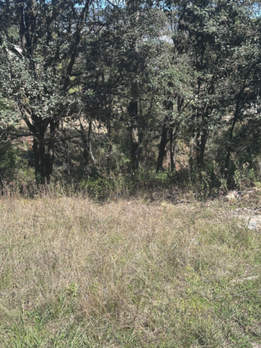 Terreno en venta en Los Alcanfores, San Cristóbal de las Casas — foto 1 de 2
