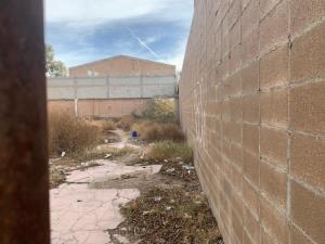 Terreno en venta en Gomez Palacio Centro, Gómez Palacio — foto 2 de 9