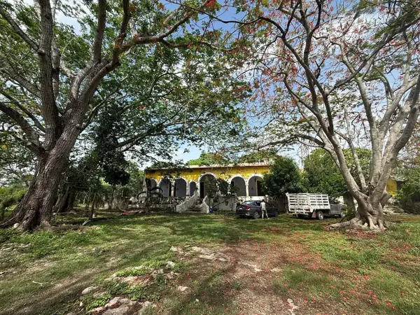 Terreno en venta en Izamal Centro, Izamal — foto 3 de 18