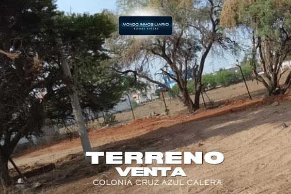 VENTA TERRENO CALERA