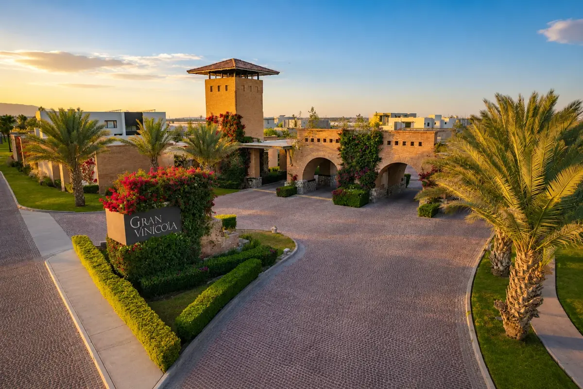 Terreno en venta en La Gran Vinícola, Gómez Palacio — foto 1 de 4