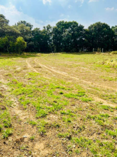 Terreno en venta en San Salvador Cuauhtenco, Milpa Alta — foto 3 de 6