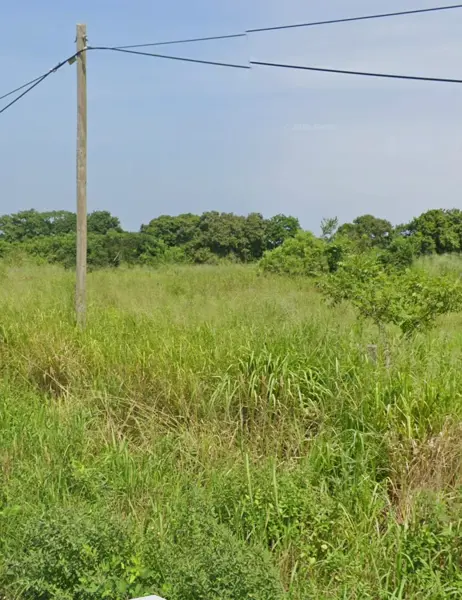 Terreno en venta en El Zapote, Alvarado — foto 2 de 4