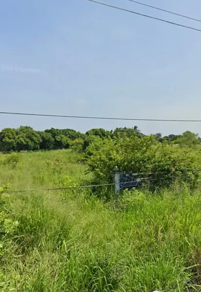 Terreno en venta en El Zapote, Alvarado — foto 3 de 4