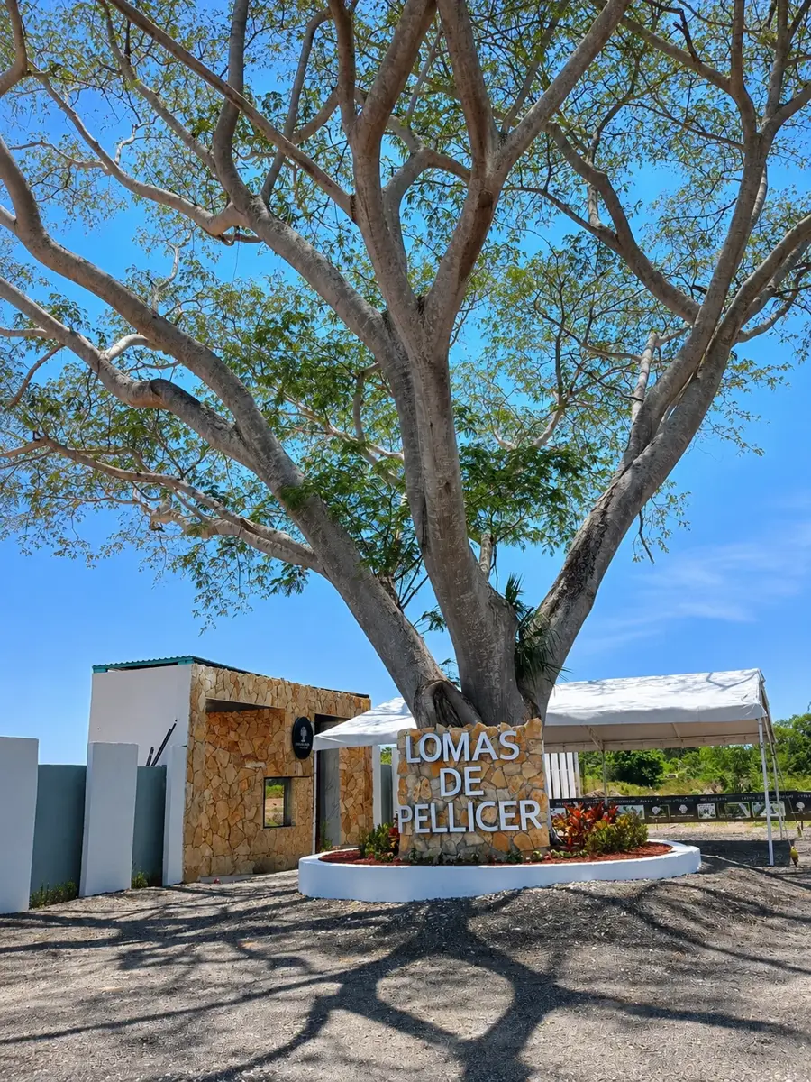 Terreno en venta en Carlos Pellicer Camara, Centro — foto 1 de 8