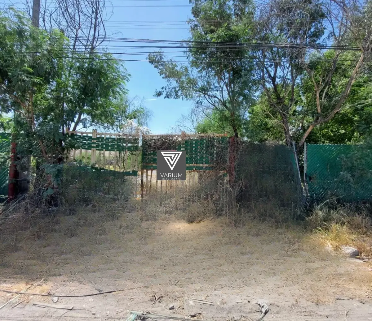 Terreno en renta en Simeprodeso (colectivo Nuevo), Salinas Victoria — foto 1 de 4