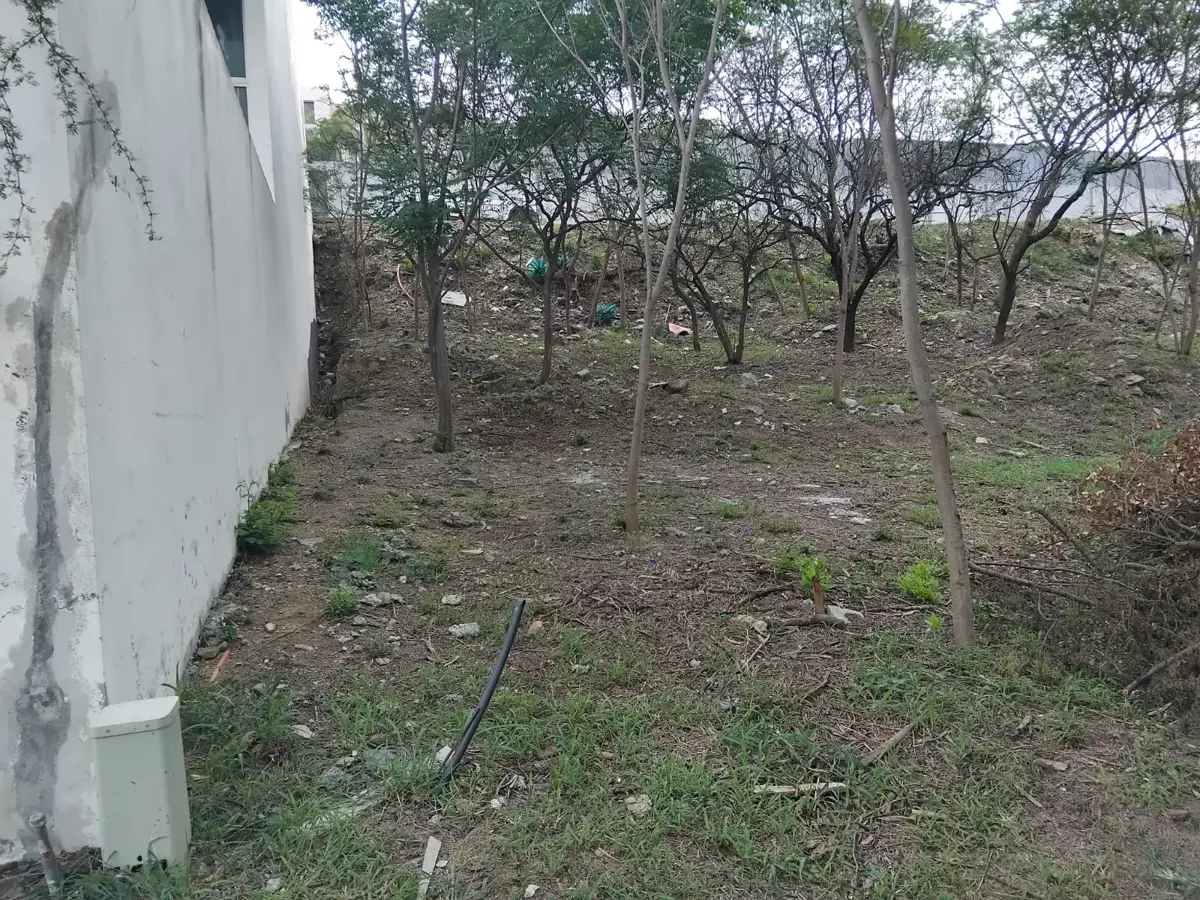Vista 4 de TERRENO EN VENTA 
PALMARES RESIDENCIAL