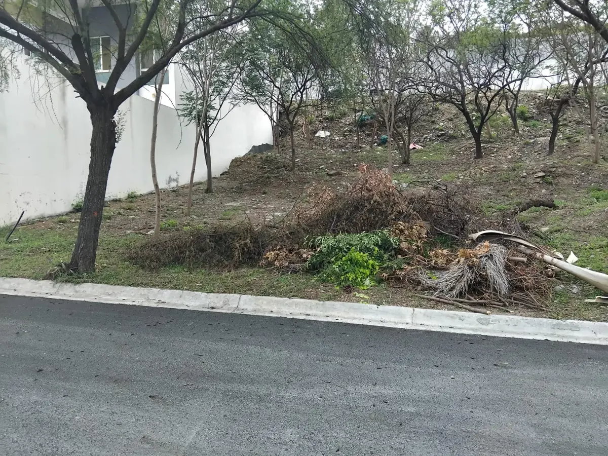 Vista 2 de TERRENO EN VENTA 
PALMARES RESIDENCIAL