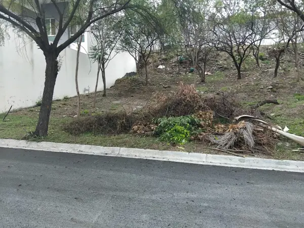 Terreno en venta en Palmares Residencial, Monterrey — foto 2 de 4