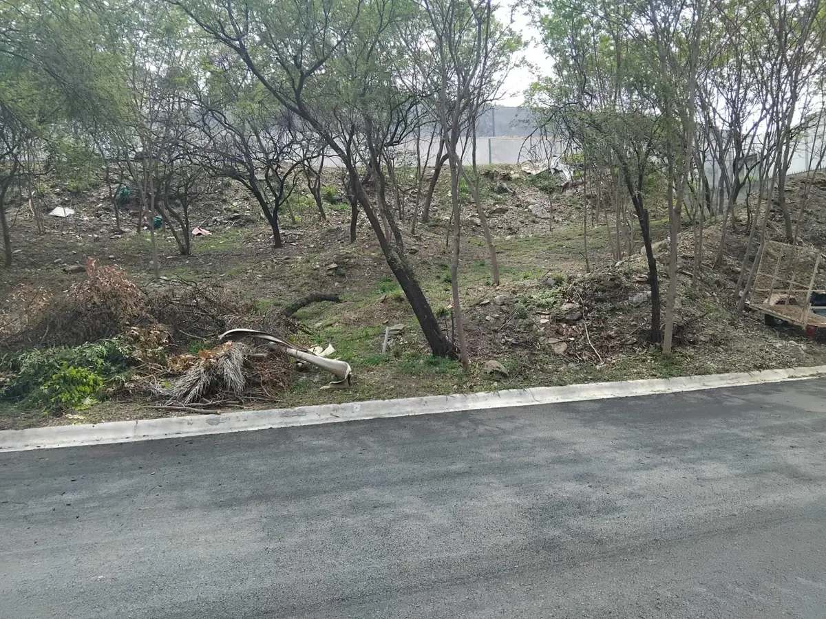 Vista 3 de TERRENO EN VENTA 
PALMARES RESIDENCIAL
