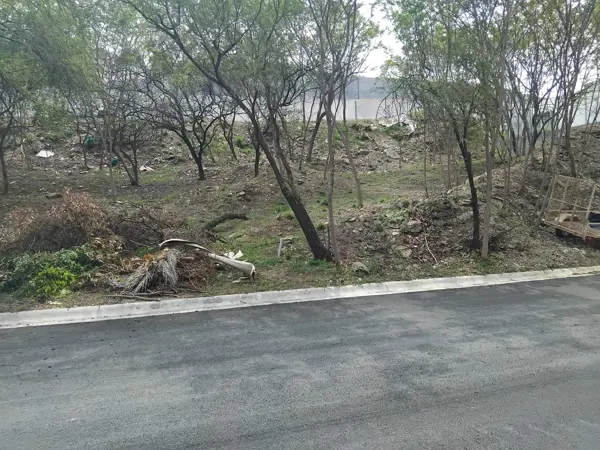 Terreno en venta en Palmares Residencial, Monterrey — foto 3 de 4
