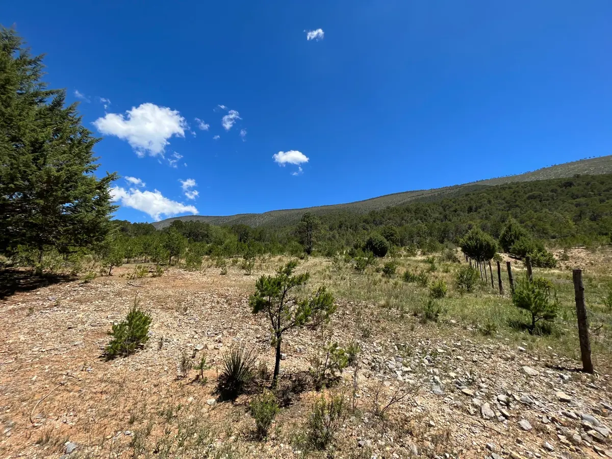 Terreno en venta en Arteaga Centro, Arteaga — foto 1 de 16