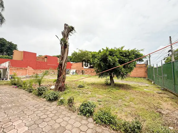 Terreno en renta en Vista Hermosa, Cuernavaca — foto 2 de 9