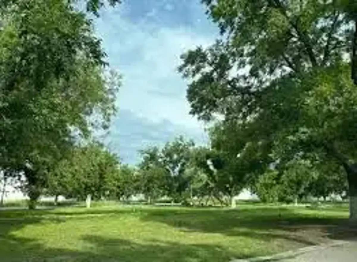 Terreno en venta en San Armando, Torreón