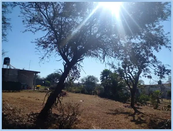 Terreno Habitacional en Venta en Ciénega del Pedregal, Guanajuato.