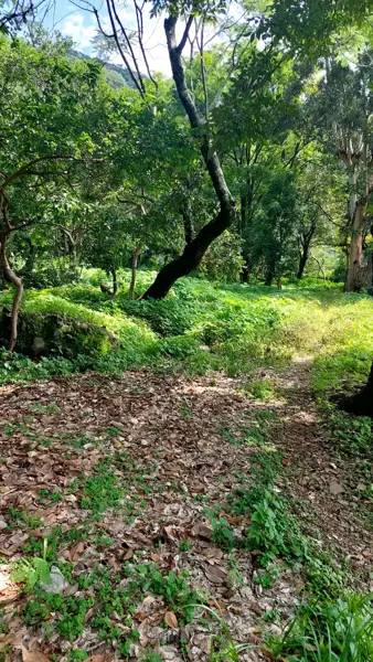 Terreno en venta en San Martín, Malinalco — foto 2 de 8