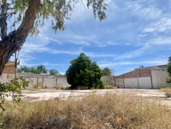 Terreno en renta en Granjas San Isidro, Torreón — foto 3 de 5