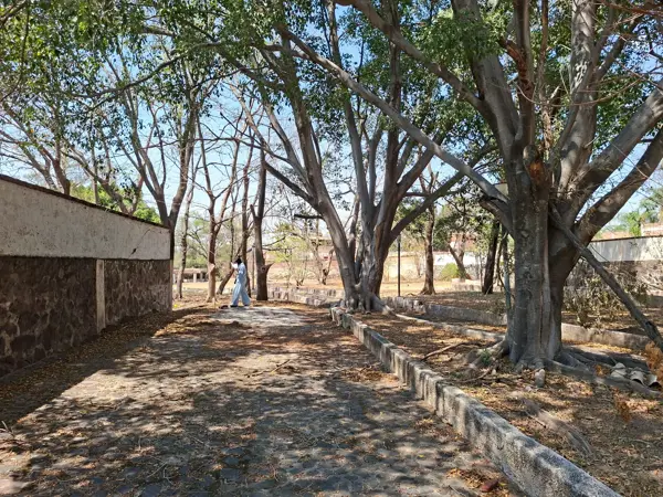 Terreno en venta en Cajititlan, Tlajomulco de Zúñiga — foto 3 de 14