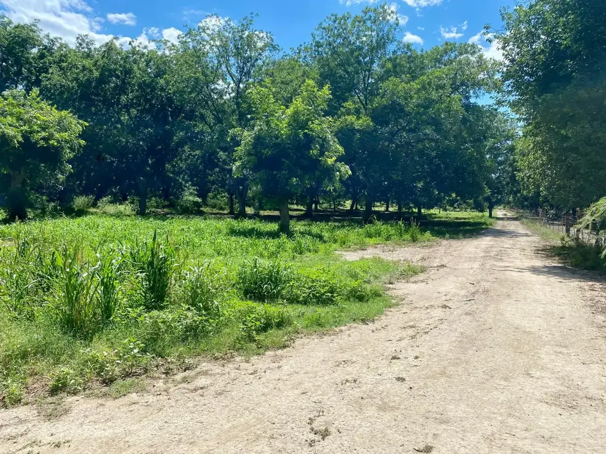 Terreno en venta en Rincon del Montero, Parras — foto 1 de 6