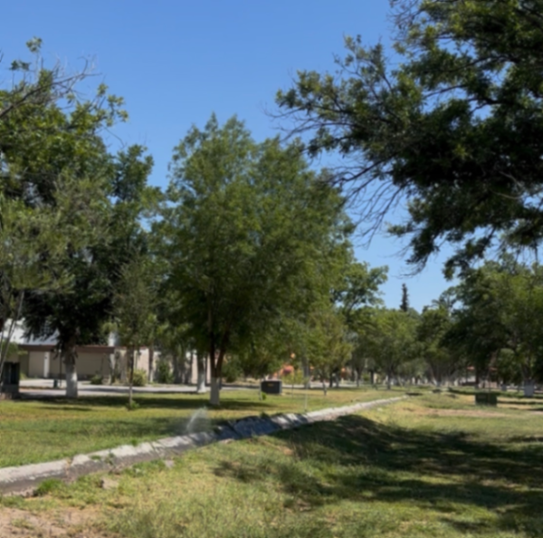 Terreno en venta en San Armando, Torreón — foto 2 de 5