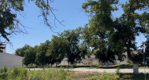 Terreno en venta en San Armando, Torreón — foto 3 de 5