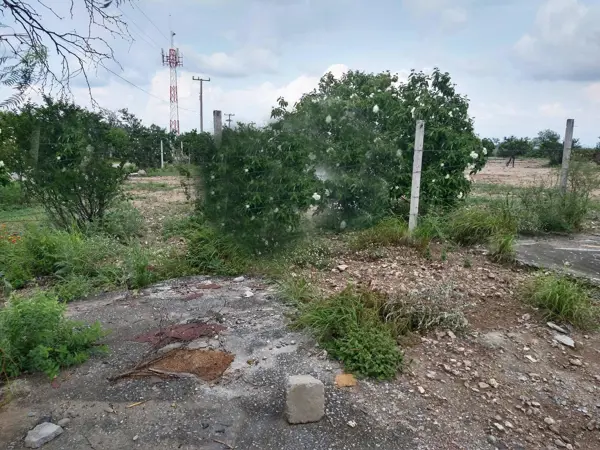 Terreno en venta en General Zuazua Centro, General Zuazua — foto 3 de 4