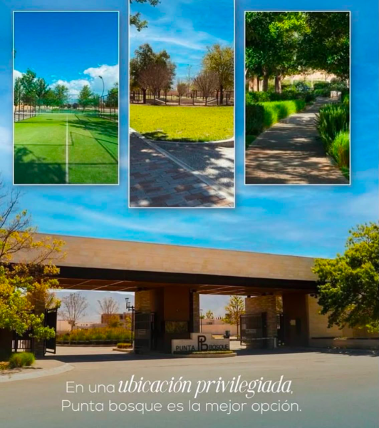 Terreno en venta en Punta Bosque, Saltillo — foto 3 de 9