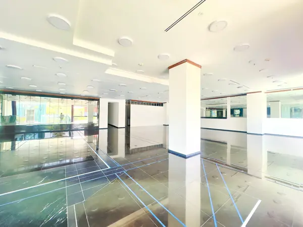 LOCAL COMERCIAL EN PALMAS RENTA