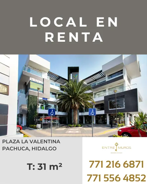 Local en renta en Ex-Hacienda de Coscotitlán, Pachuca de Soto, Hidalgo