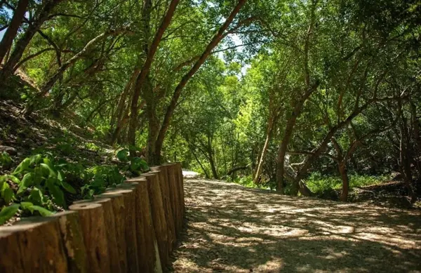 Terreno en venta en Vistancias, Monterrey — foto 3 de 5