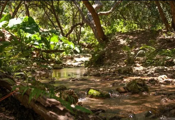 Terreno en venta en Vistancias, Monterrey — foto 2 de 5