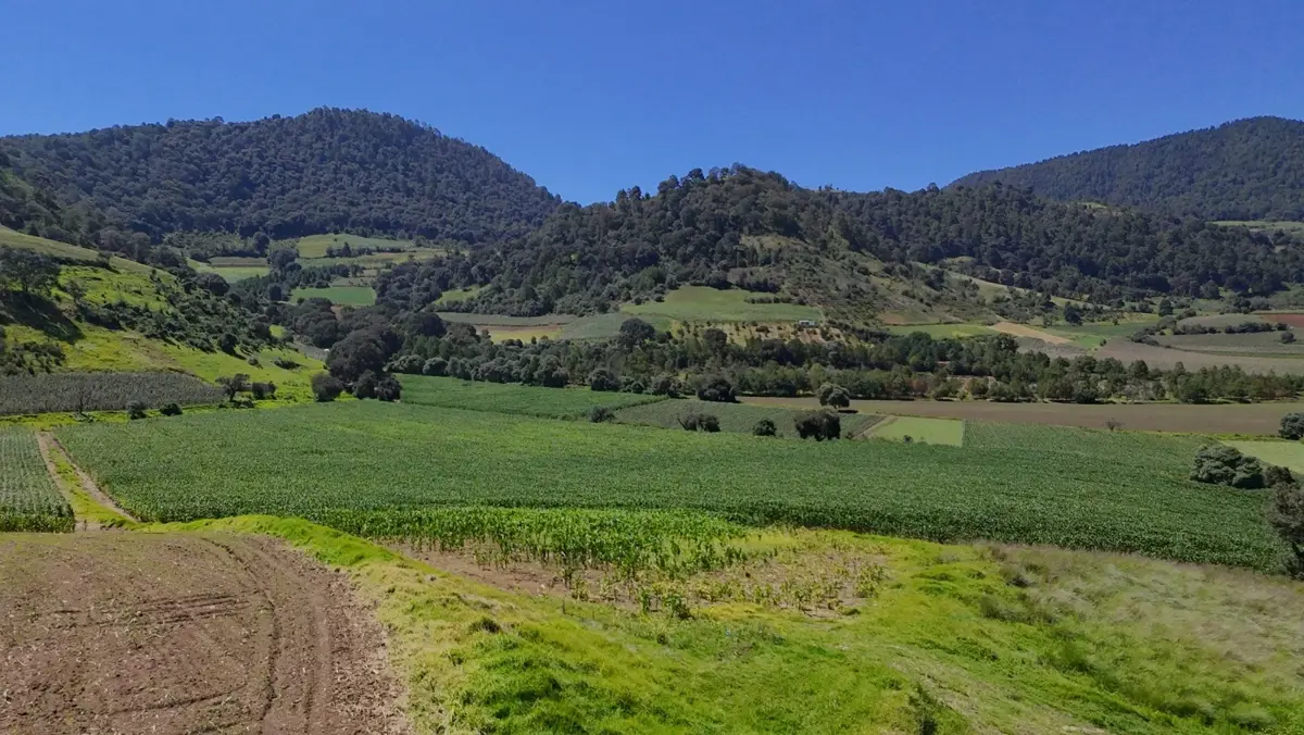 Terreno en venta en Santiaguito Cuaxustenco, Tenango del Valle